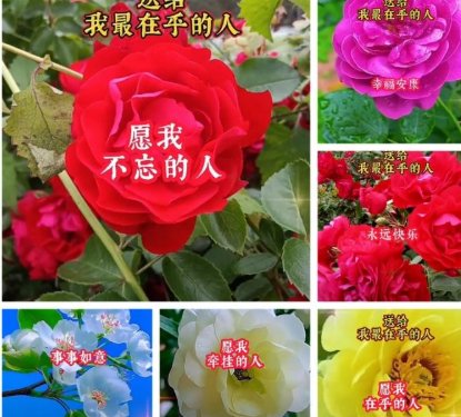 【伦敦】商务数字电话+高速网特惠（无限拨打英国及国际）