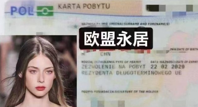 【全德】波兰/立陶宛驾照办理