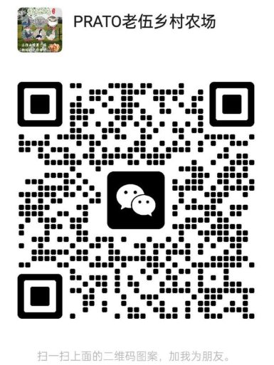 【Prato】农家鸡鸭乌鸡及土鸡蛋出售（处理干净，送货上门）