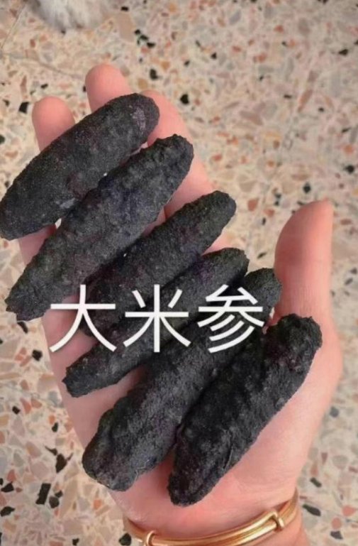 【Prato】大七座出租车+滋补品出售（海参/鱼胶/燕窝/鲍鱼/鹿茸等）