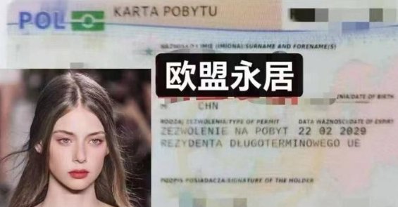【全德】波兰、立陶宛驾照办理