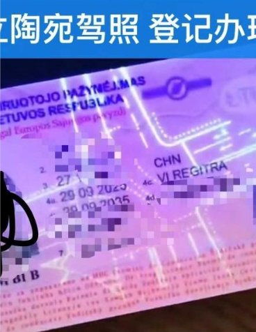 【全德】立陶宛/波兰居留及驾照快速办理