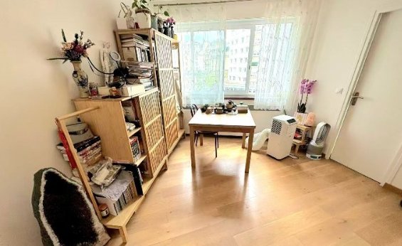 【小巴黎】15区铁塔下两室一厅出租