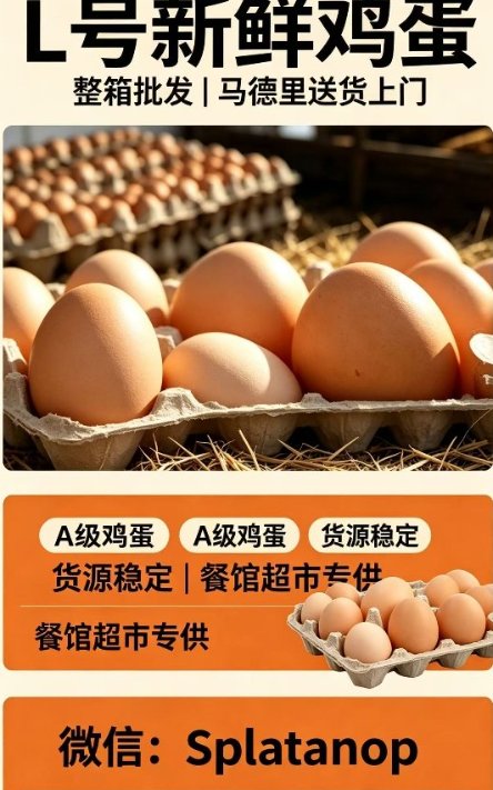 【马德里】鸡蛋批发直销（整箱360枚，送货上门）