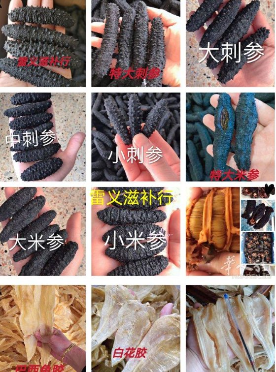 【全意大利】雷义滋补行（批发/零售/招代理，一手货源）