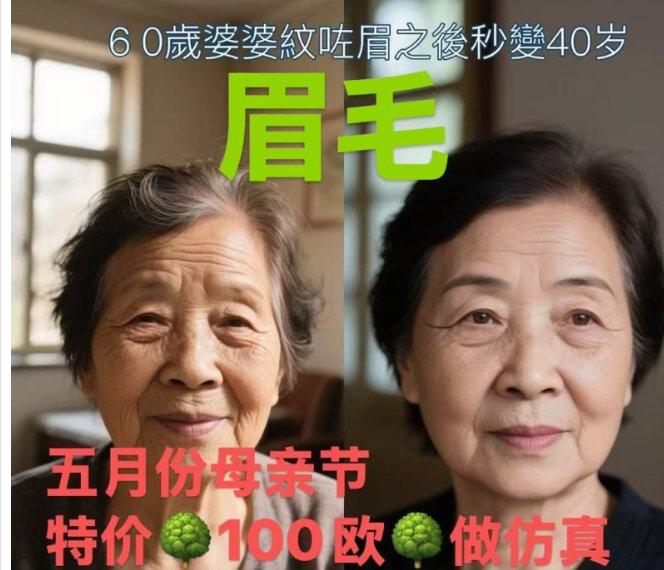 【小巴黎】仿真眉毛特价（100€，19年经验，无痛操作）