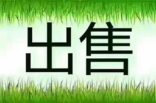 【伦敦UB5】八成新落地式油煲出售（100£，送配件）