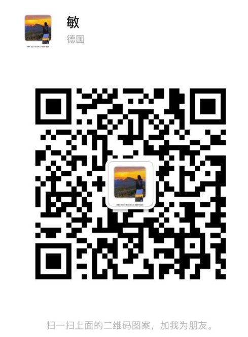 【法兰克福】接机/搬家（大车小车可选）