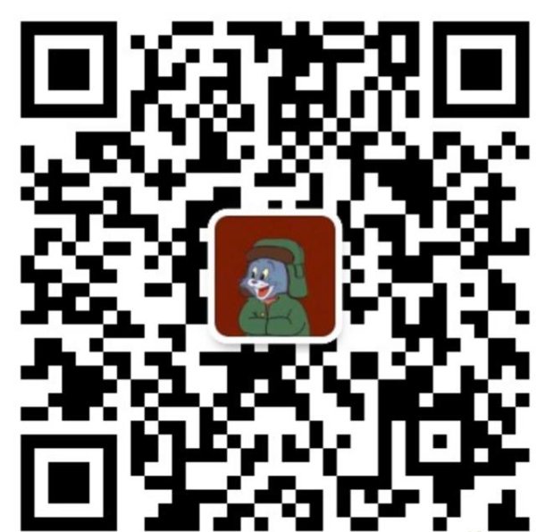 【Rimini及周边】机场接送/陪同翻译/旅游/搬家/用车服务