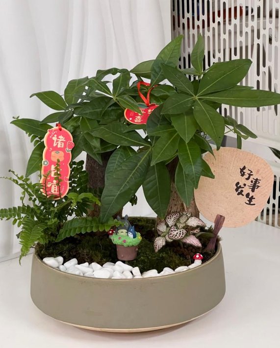 【伦敦及周边】恒信安装工程（设备安装维修，20年经验，可出证书保修）