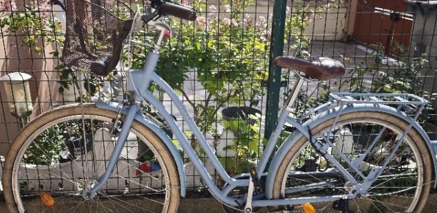 【Seine-Saint-Denis（93省）】自行车出售（100€）