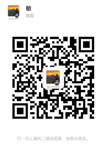 【法兰克福】接机/搬家（大车小车可选）