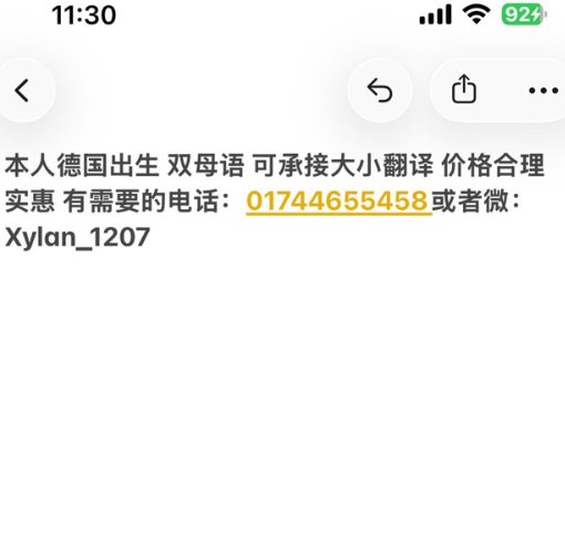 【曼海姆】双母语翻译（德国出生，价格合理）