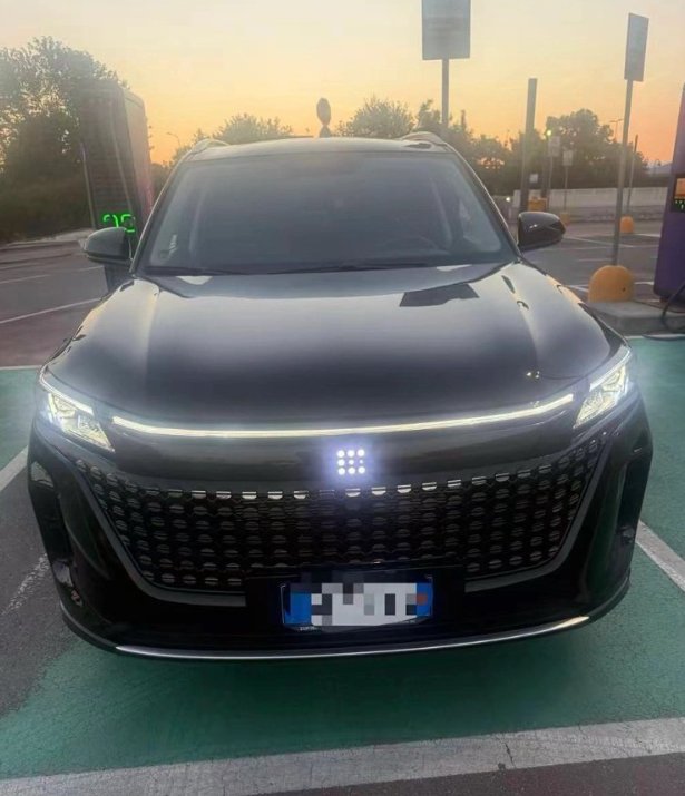 【布雷西亚】华人出租车
