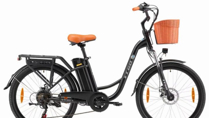 【全德】电动自行车出售（钣金微磨损，600-1300€）