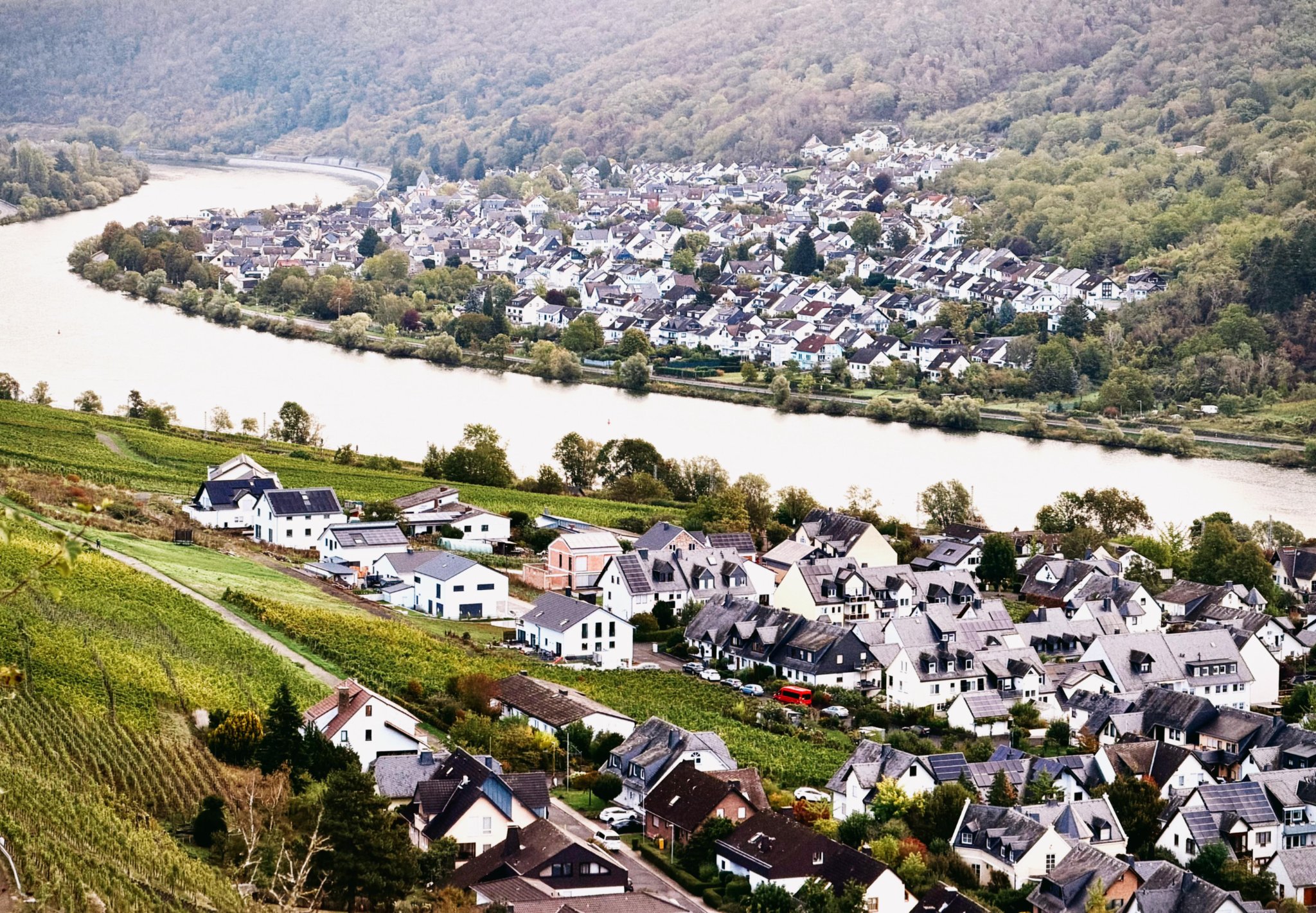 行｜德国摩泽尔 Riesling tasting journey