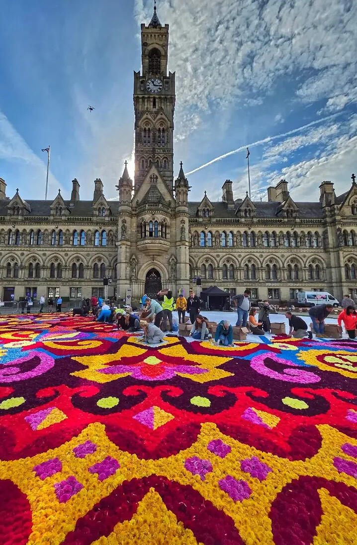 英国首次！30万朵鲜花铺满Bradford市中心｜限时4天免费花毯