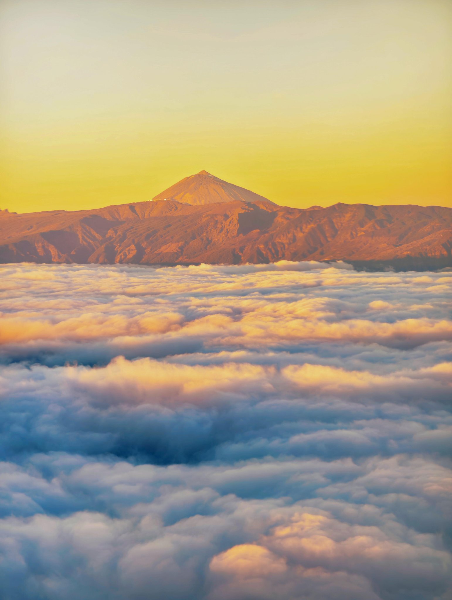 因为景甜热搜带火的特内里费｜火山、星空、龙血树，这座岛比热搜精彩多了