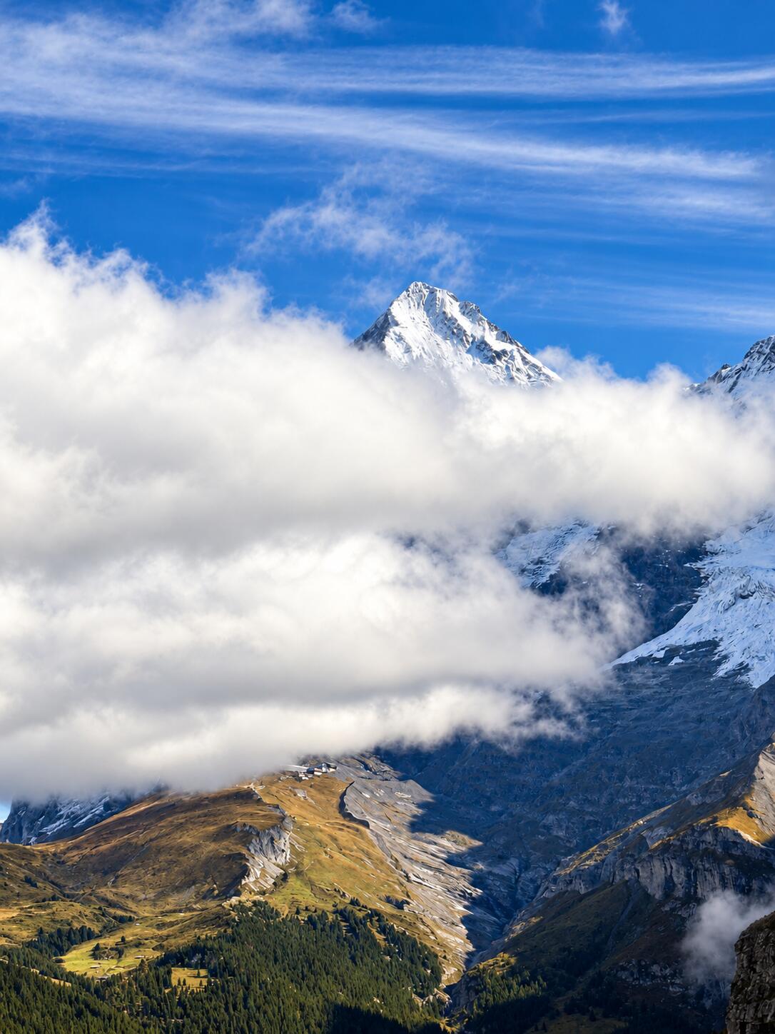 瑞士阿尔卑斯山——云海中的雪峰