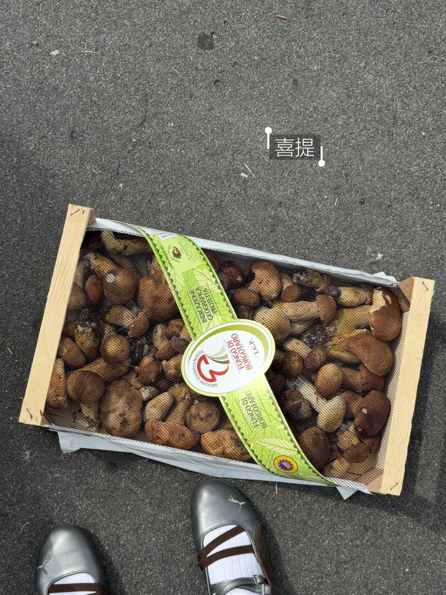 实现菌子自由｜在米兰附近Rozzano搞到牛肝菌和鸡油菌
