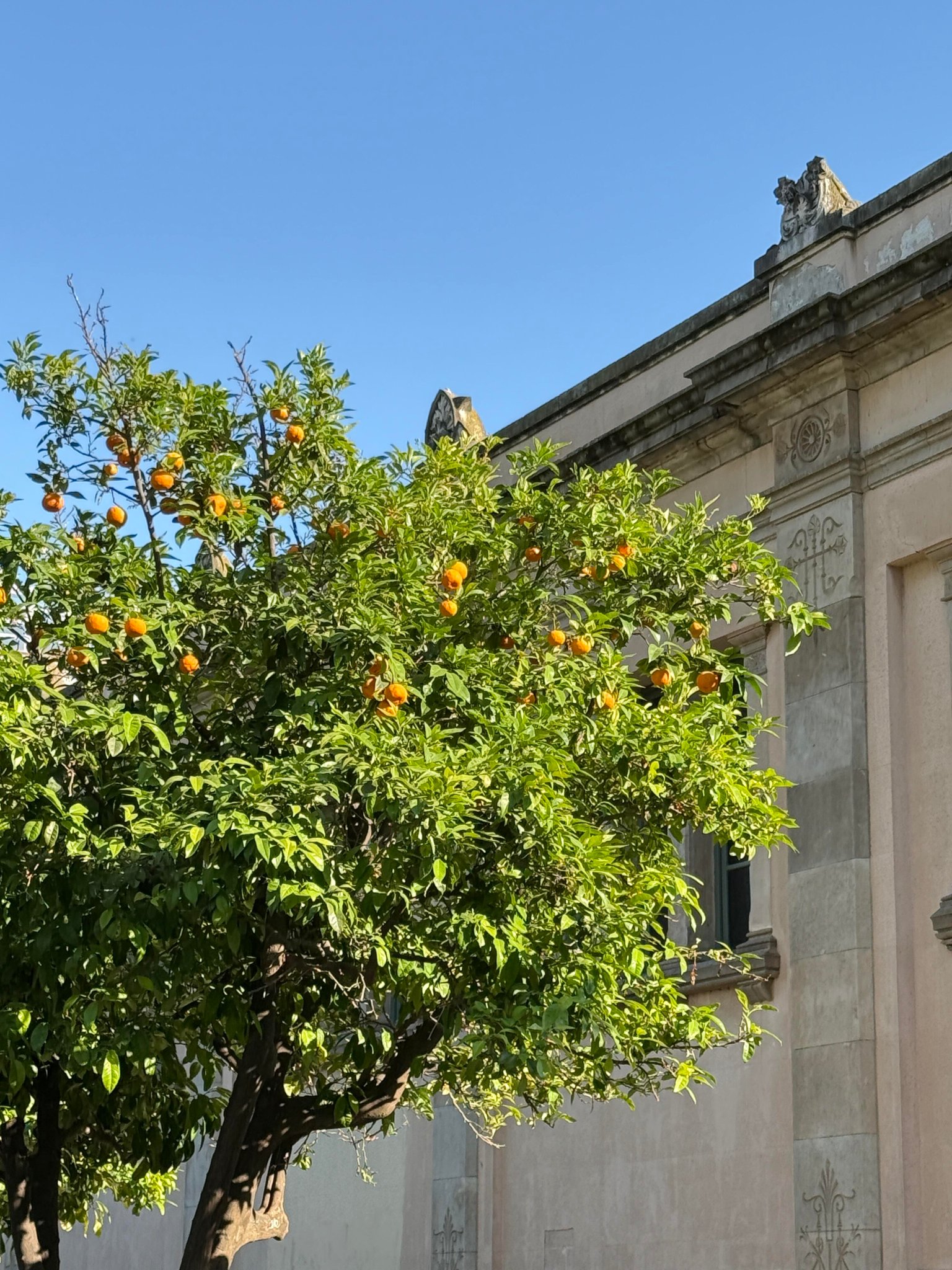 巴塞城堡公园也太美丽了🇪🇸