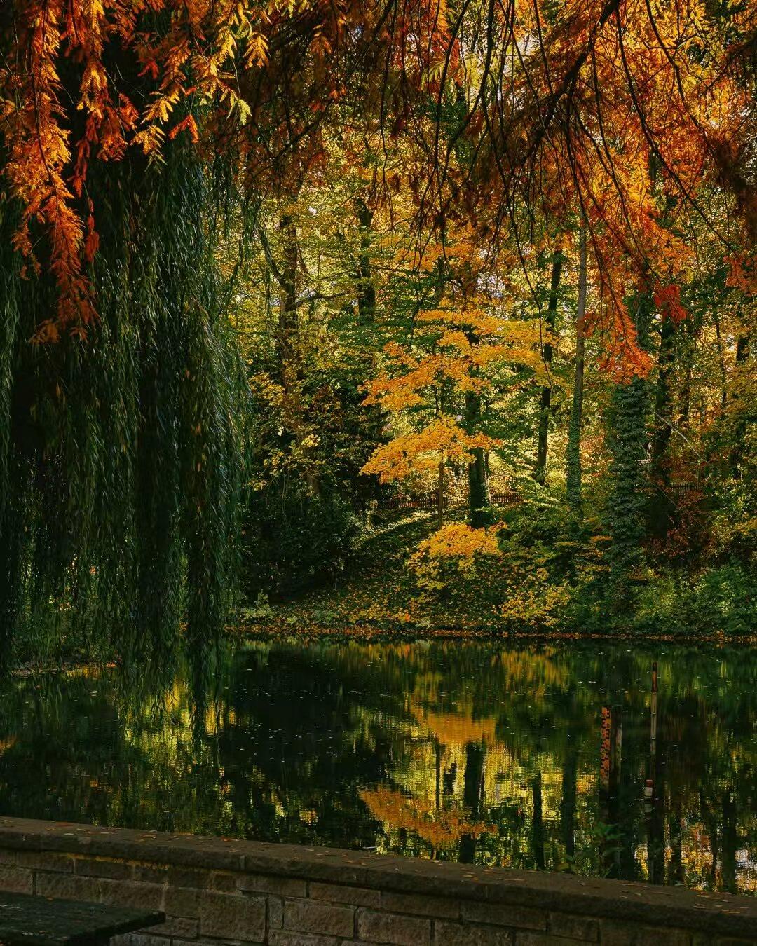 德国小城的秋天，比想象中还要温柔🍂