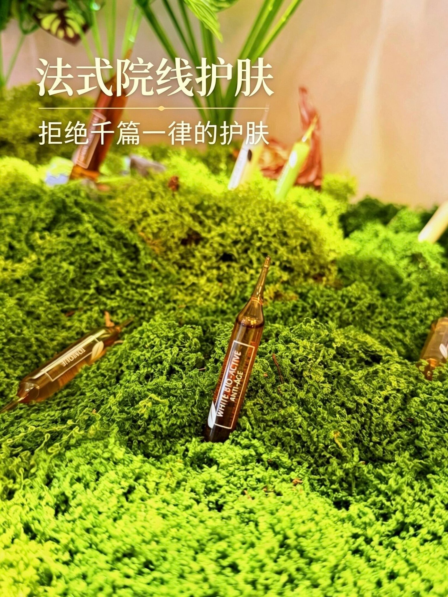 把自然植萃锁进小安瓶里｜被这一整片森系陈列狠狠吸引