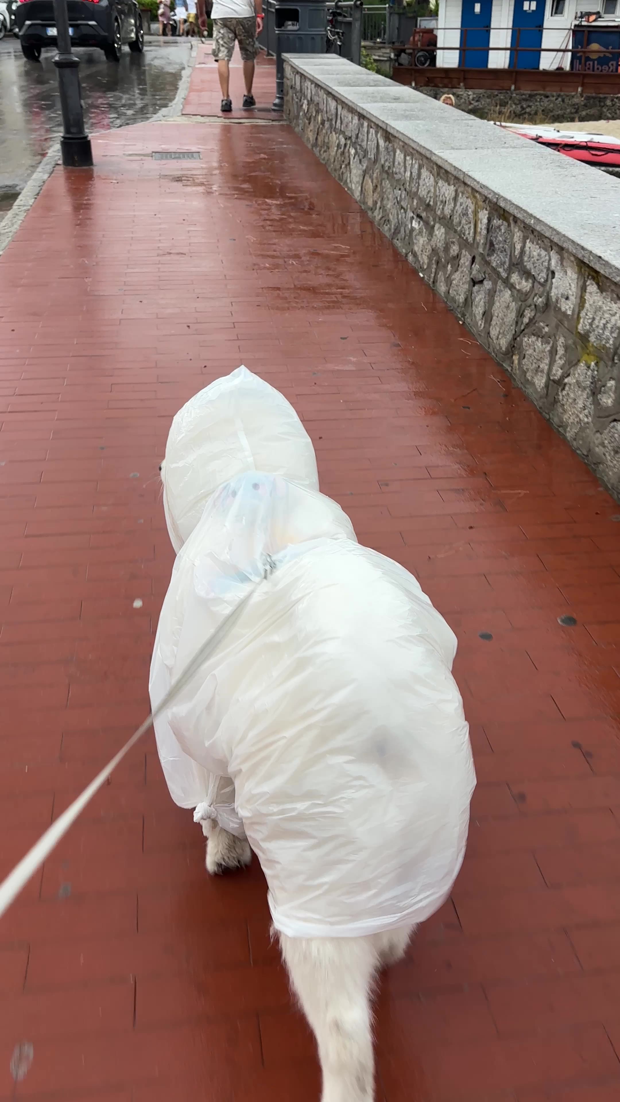 算咯 我变显眼包咯 路人都笑着看我好几眼