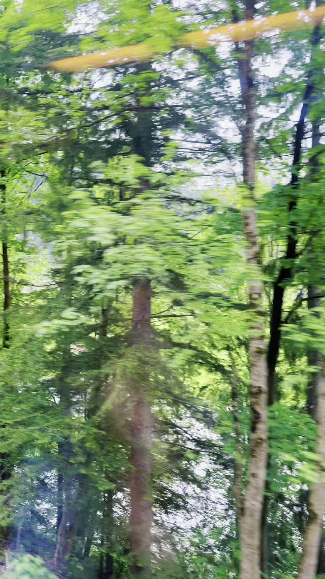在德国巴伐利亚，有一个阿尔卑斯童话小镇❗️