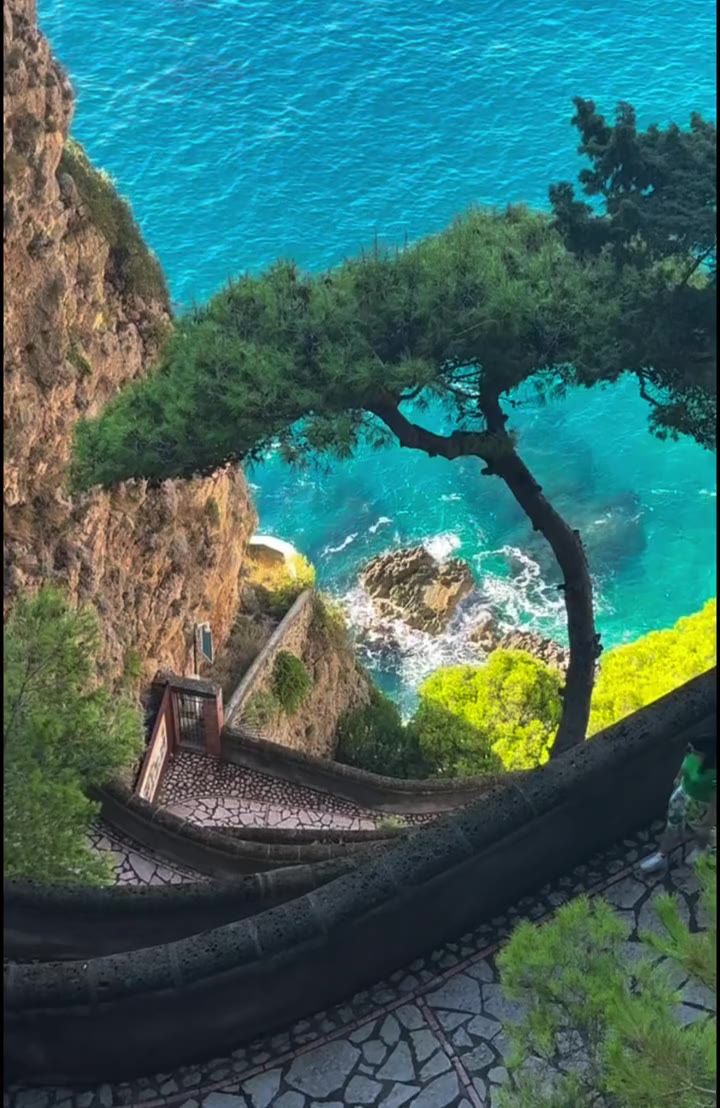 还得是晴天