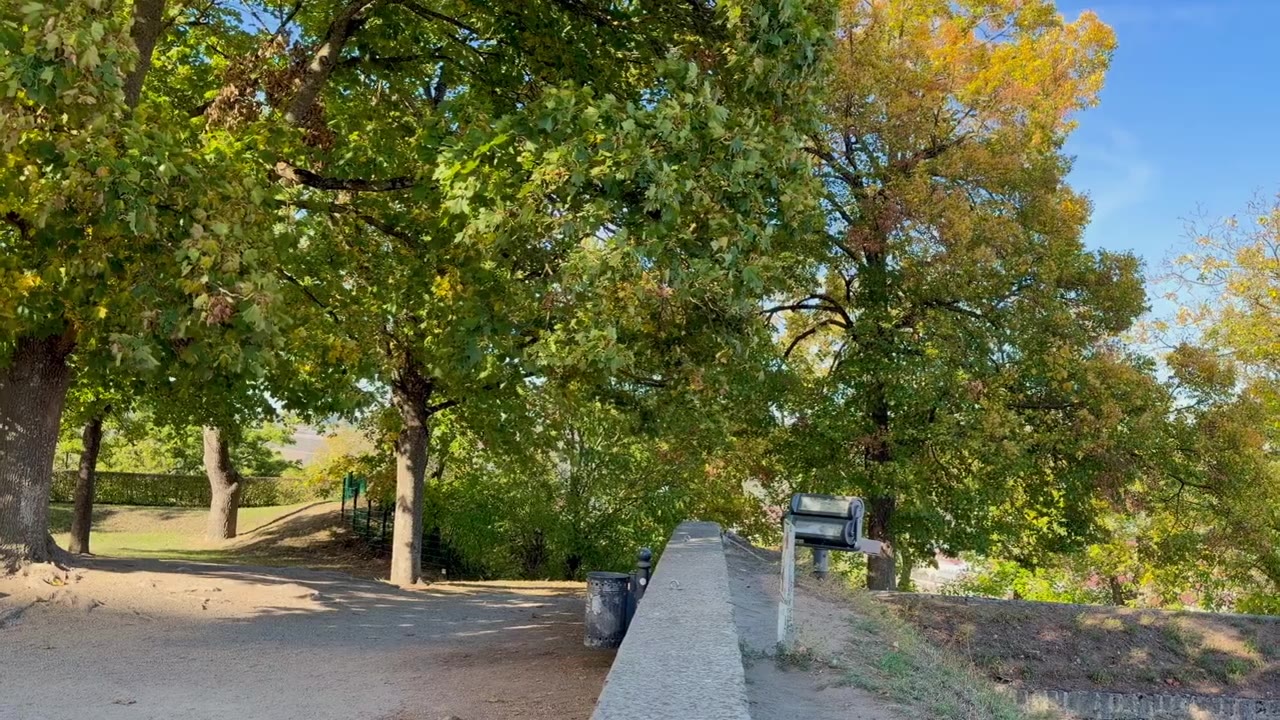 Würzburg｜爬20分钟到玛丽亚堡山顶，视野非常开阔，还想再来