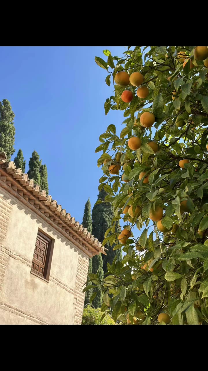 西班牙Salamanca City walk｜没选热门城市，反而意外惊喜