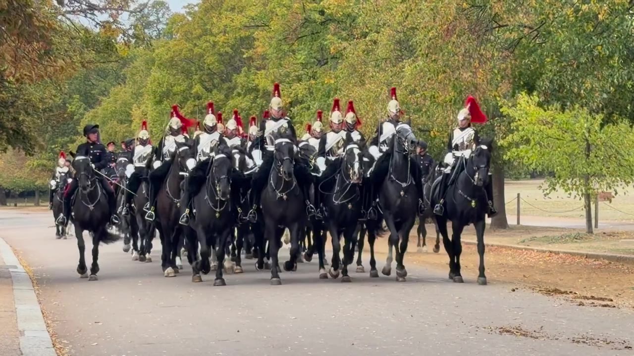 海德公园路遇马队｜英国的老派范儿🐎🇬🇧