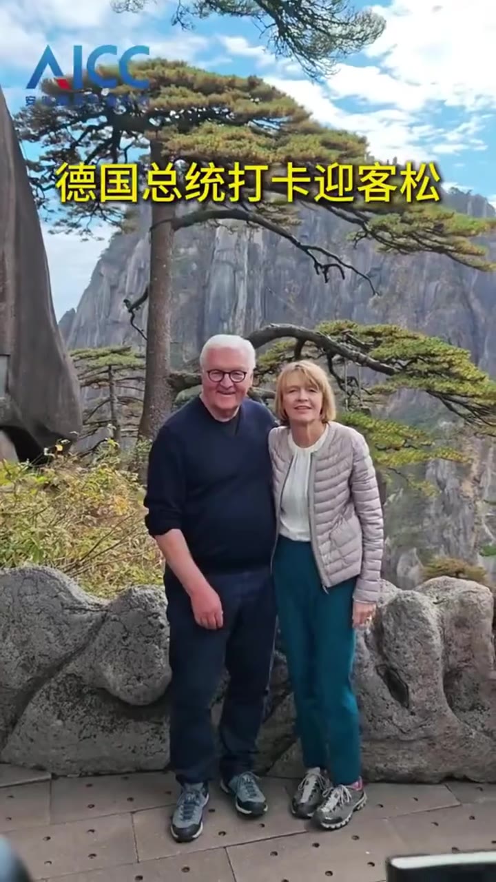 德国总统打卡迎客松