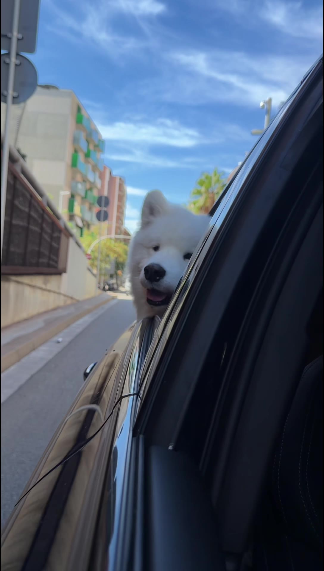 和卡卡一起看世界｜巴塞罗那，计划之外的西班牙之旅