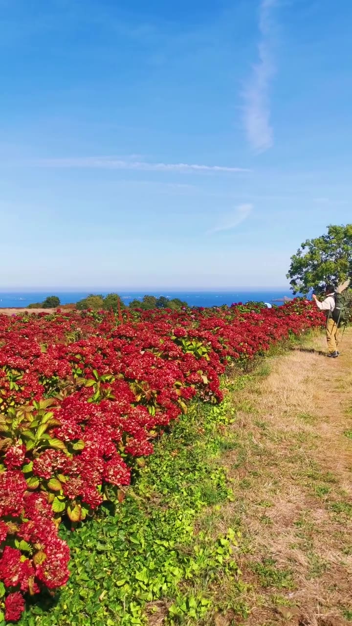 布列塔尼之旅Day 2｜一天走了3万8千步，下篇