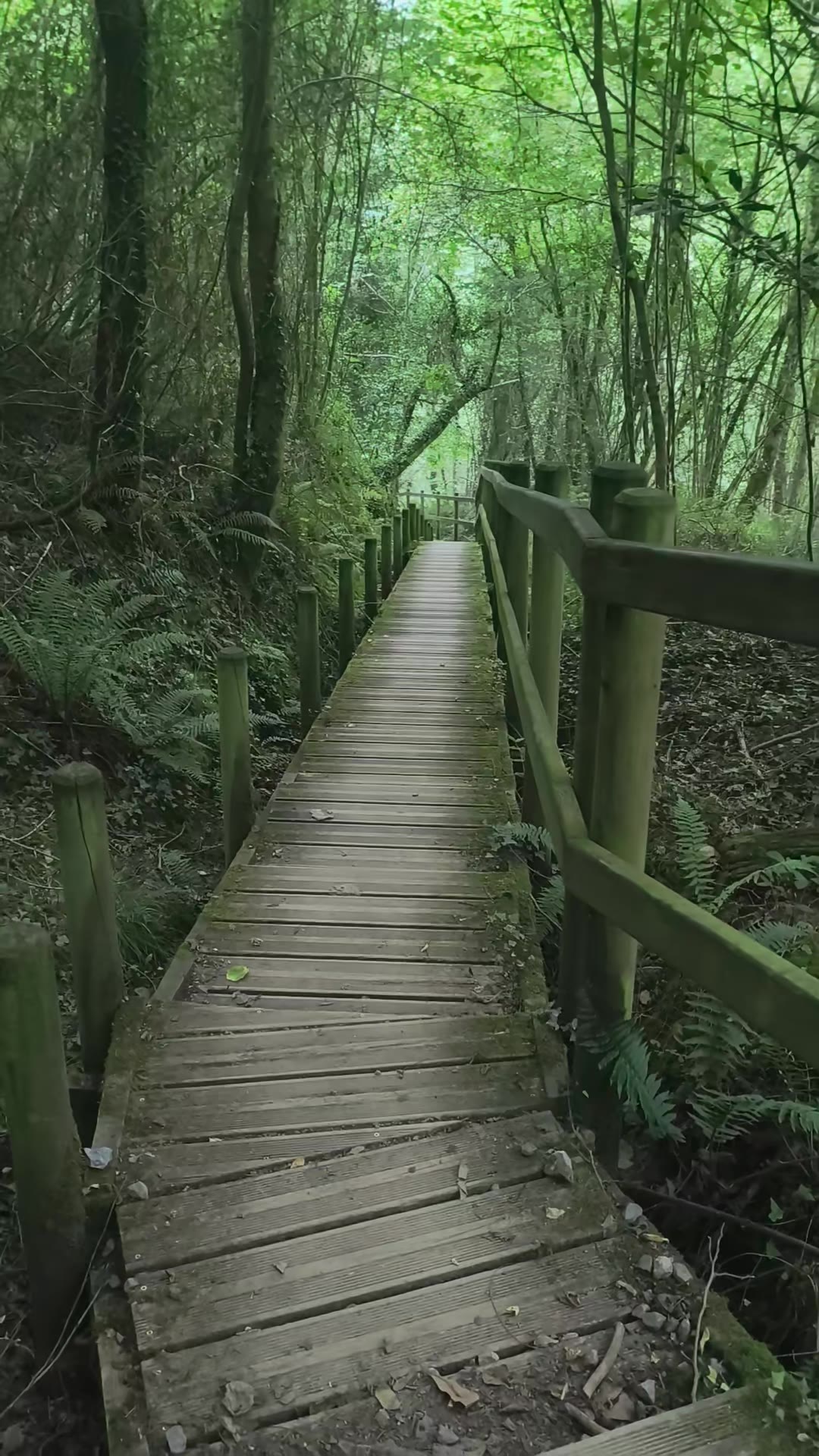 北线第6天通常是从巴斯克地区的内陆走向毕尔巴鄂（Bilbao）的一天，风景和路线都很有代表性。