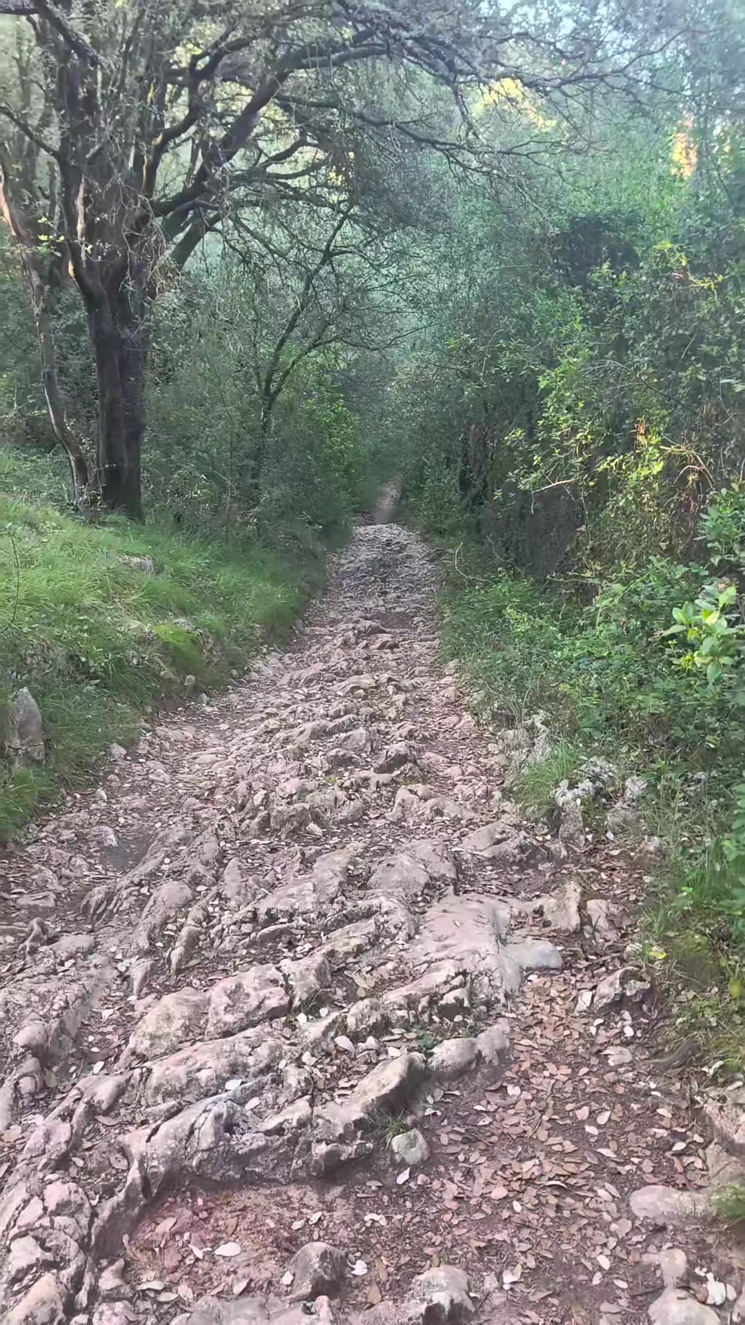 又是破路