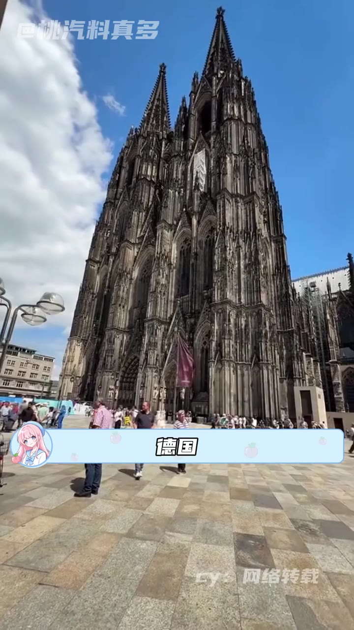 难怪德国博士含金量高