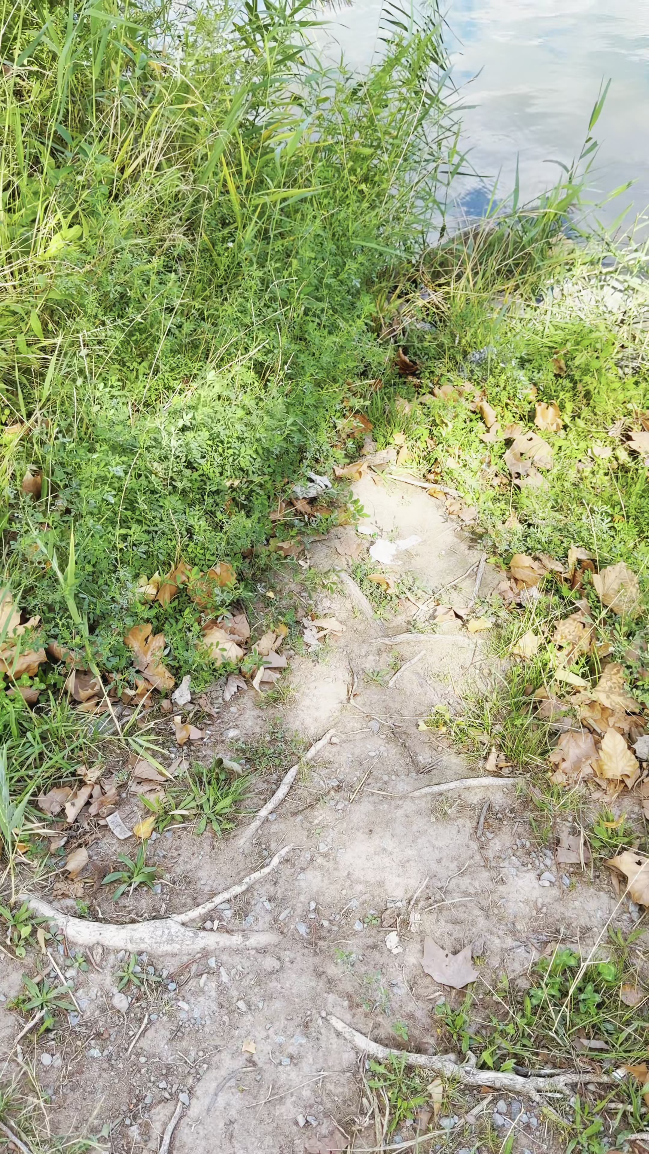 它的新生始于倒塌｜在废墟之上重新生长——德国阿沙芬堡