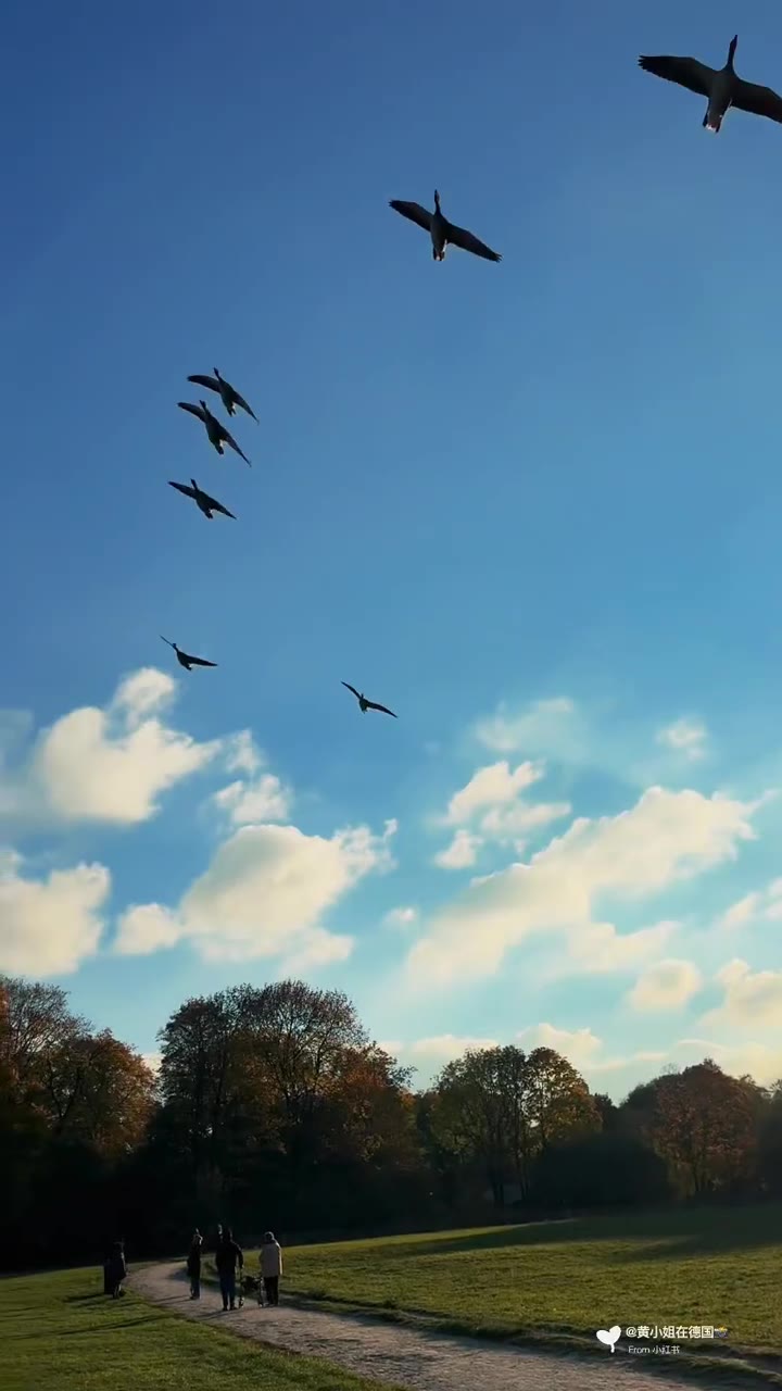 🇩🇪慕尼黑英国花园🍂此刻秋天杀疯了