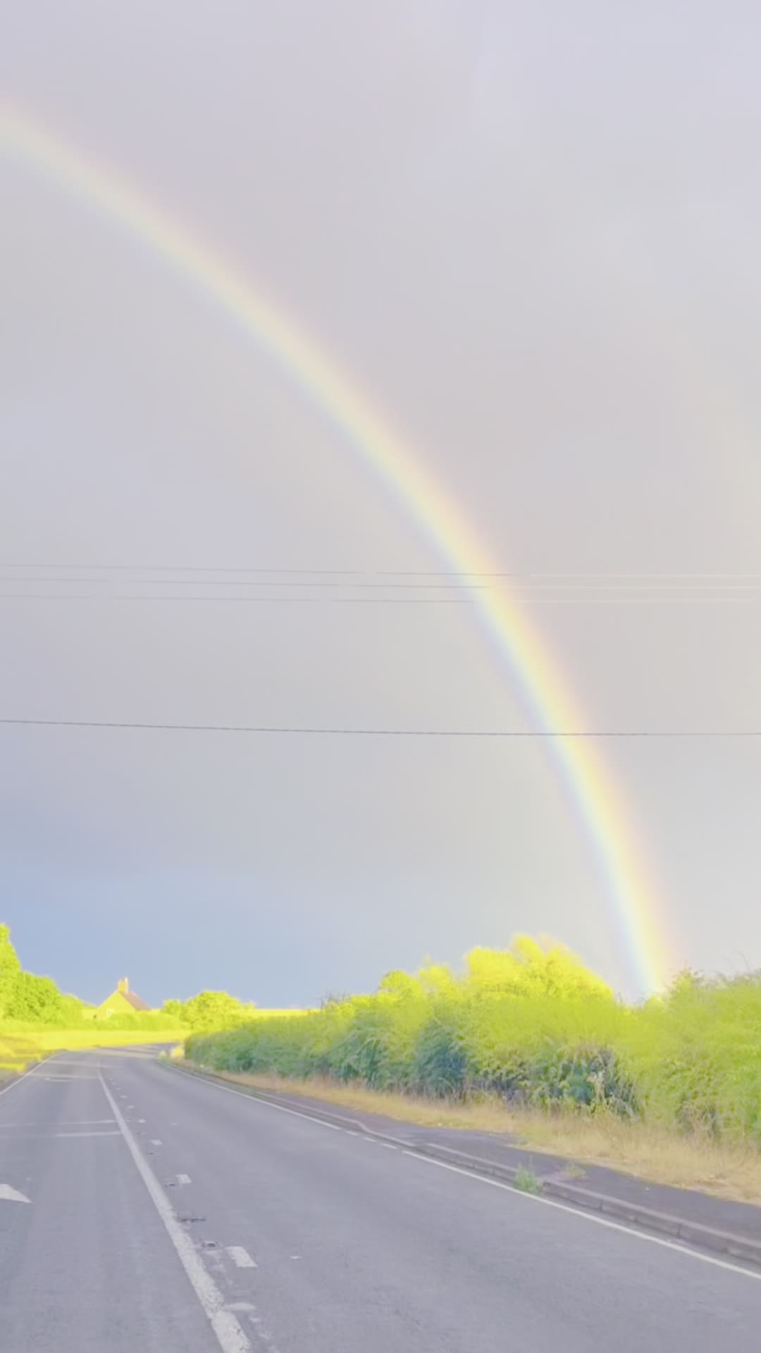 走，我带你去追🌈