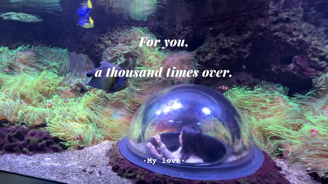 德国莱比锡｜藏在动物园里的海底泡泡屋🐠