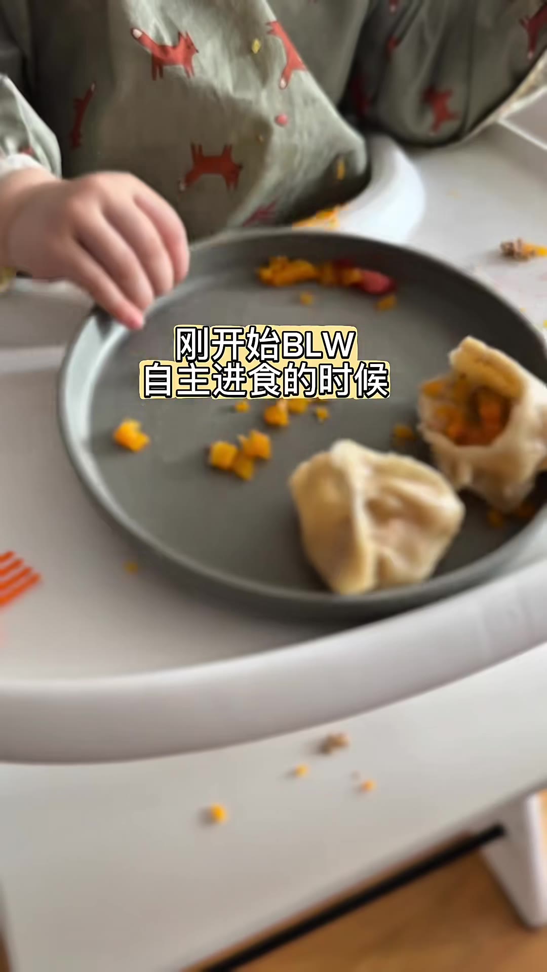 辅食｜自主进食｜BLW｜德国育儿日常