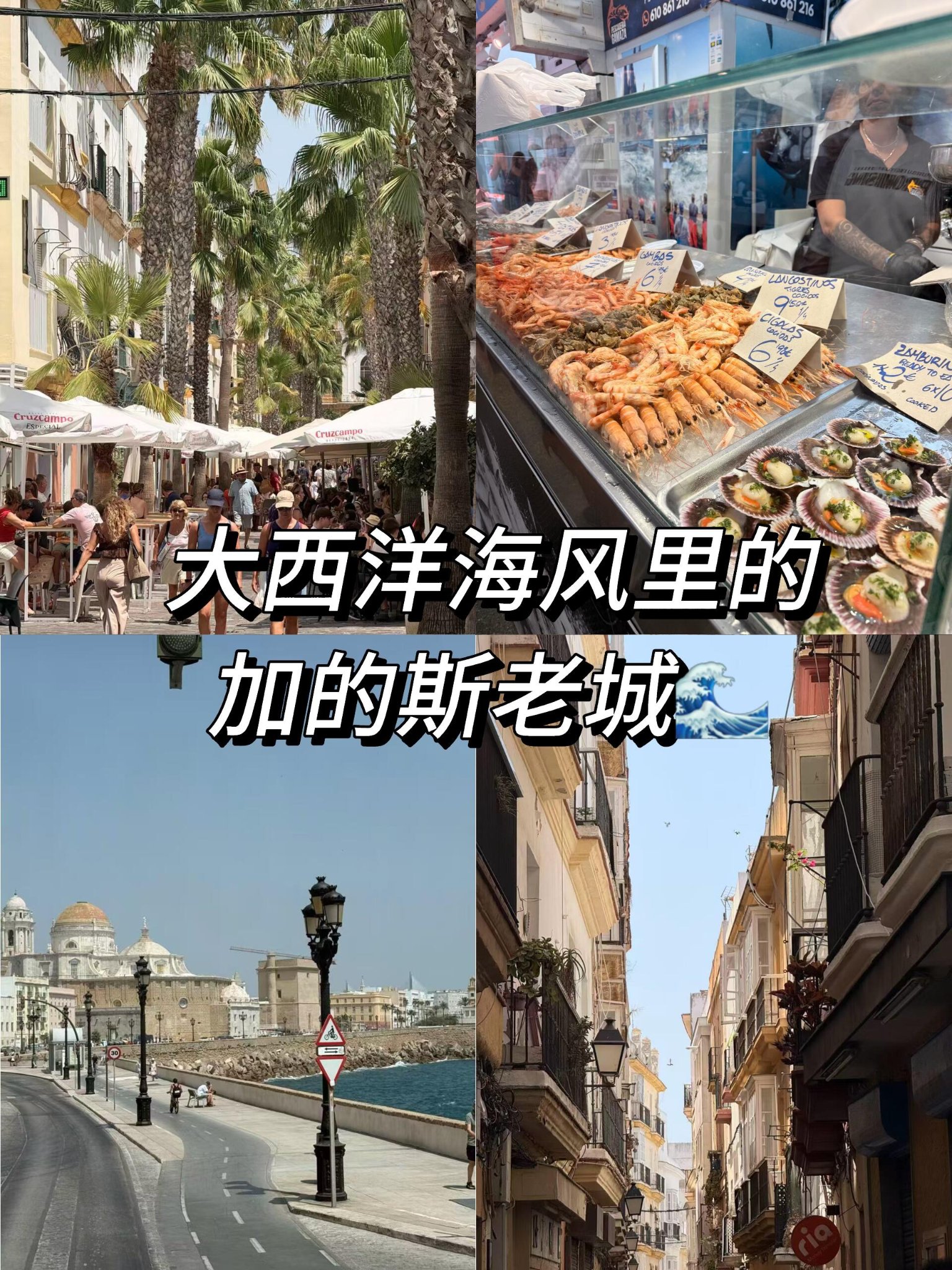 安达卢西亚最被低估的小城｜加的斯，大西洋海风里的3000年慢生活