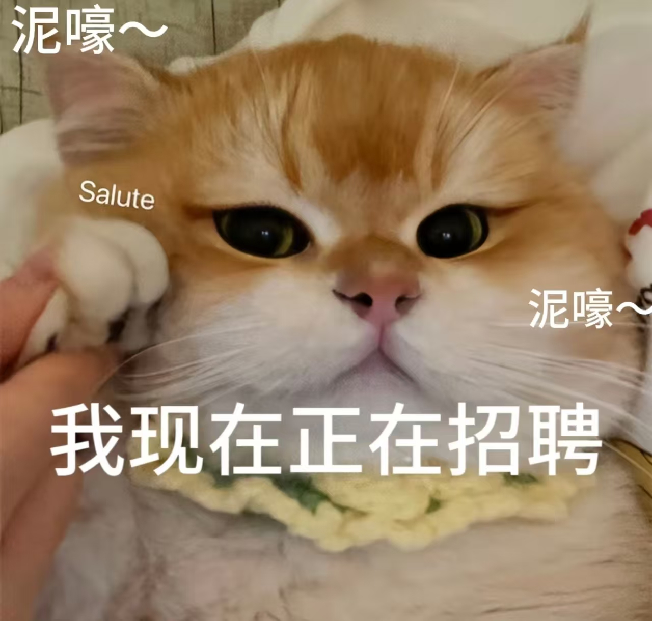 【巴塞罗那】老城区美甲店招聘熟练大工（备居留，高保底）