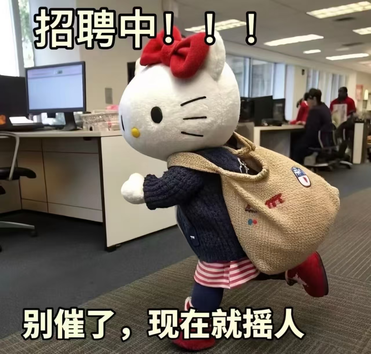 【伦敦及周边】求职大厨（多年经验，做过忙店）