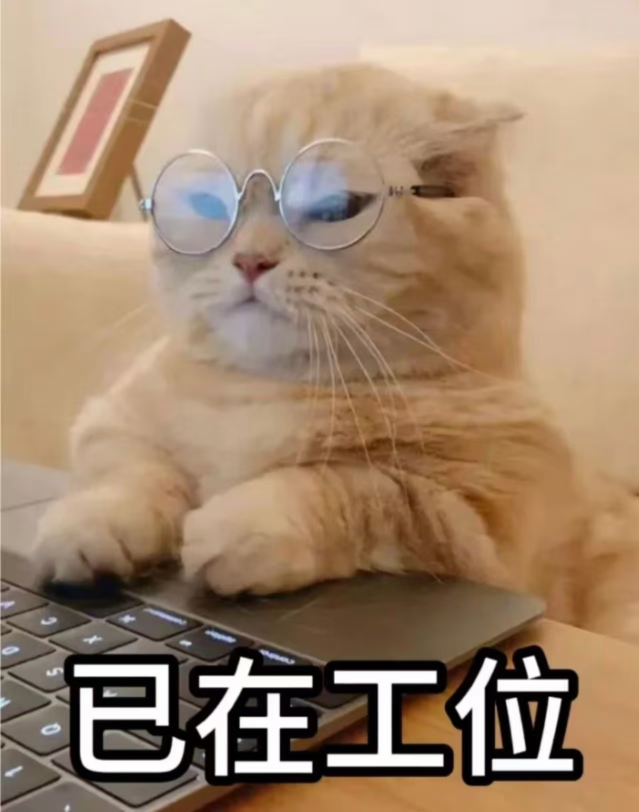 【Royston】北伦敦外仓库招聘全职操作员（£27000/年，须合法身份）