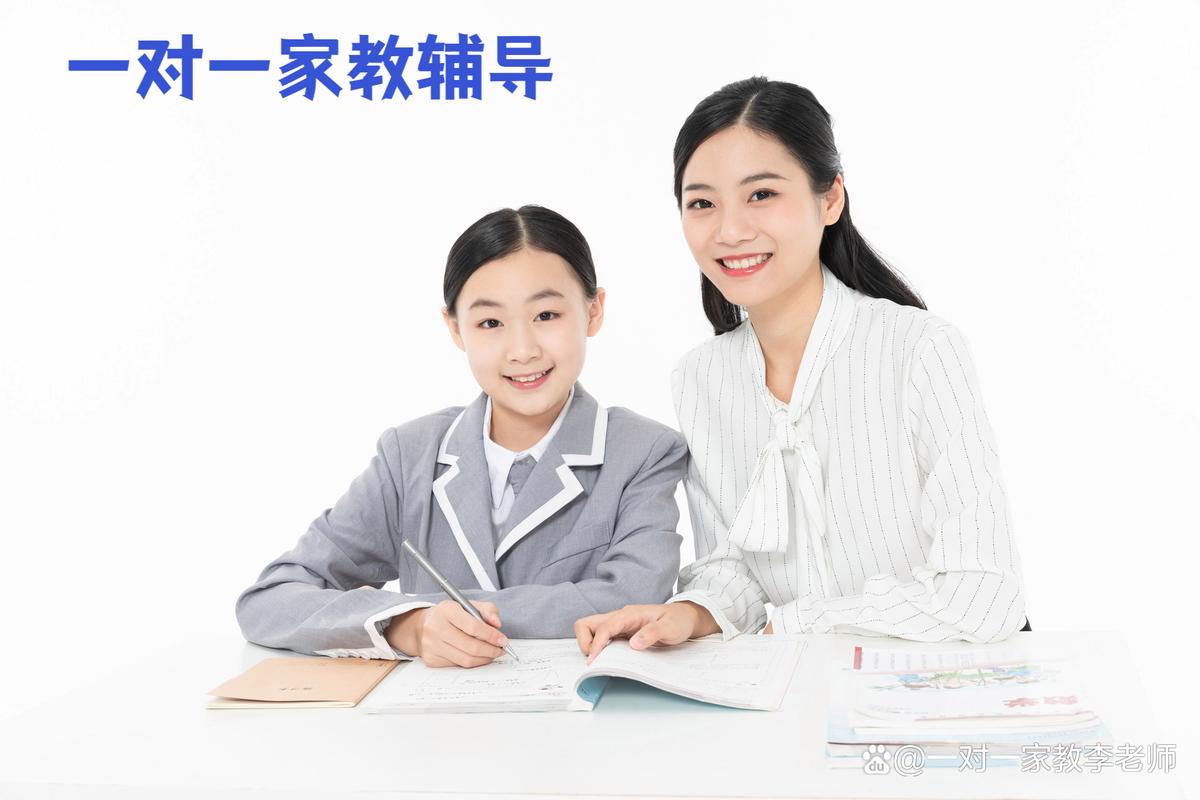 求职：暑期拉丁语辅导（网课）