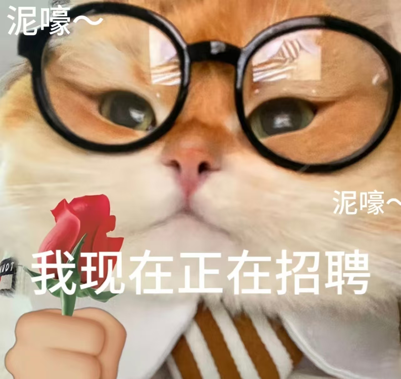 【Prato】羊毛衫织衫厂招熟练拆纱手工（近警察局）